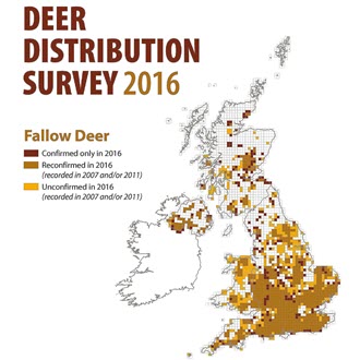 Fallow deer are widespread in England and Wales, but patchy in Scotland, inhabiting mature broadleaf woodland with under-storey, open coniferous woodland, and open agricultural land.