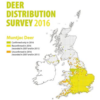 Movement and release of muntjac deer by humans has led to their rapid spread across south and central England and Wales, however, north of the Humber distribution is patchy but reaches close to the Scottish border.