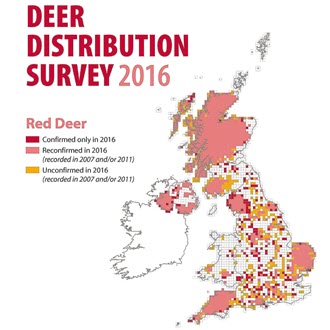 Red deer are now widely distributed across the UK and are expanding in range and number. While preferring woodland and forest habitats in England and southern Scotland, red deer can adapt to open moor and hills as they have in parts of Scotland and south-west England. 