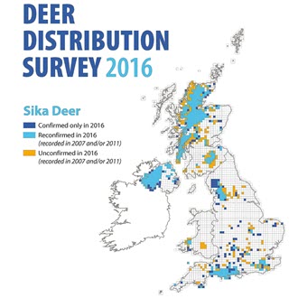 Sika are rapidly increasing in the UK and in Scotland, their ranges are expanding from west to east. They are also found in Northern Ireland. Sika prefer habitats on acidic soils such as coniferous woodlands and heathlands and moors.