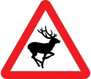 drive deer aware