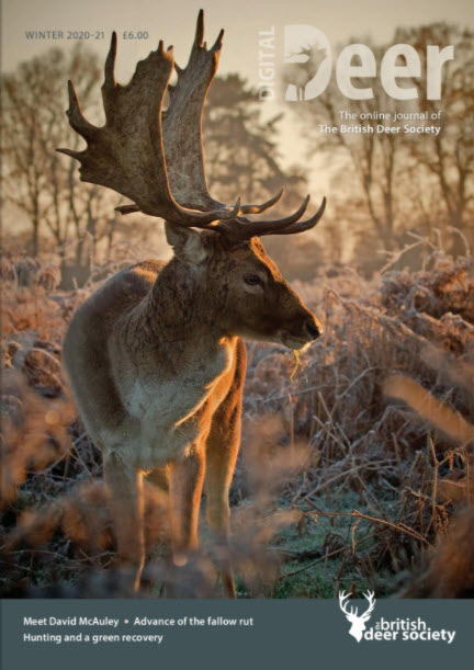 deer-journal-winter20