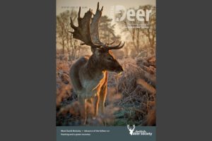 winter deer magazine 2020