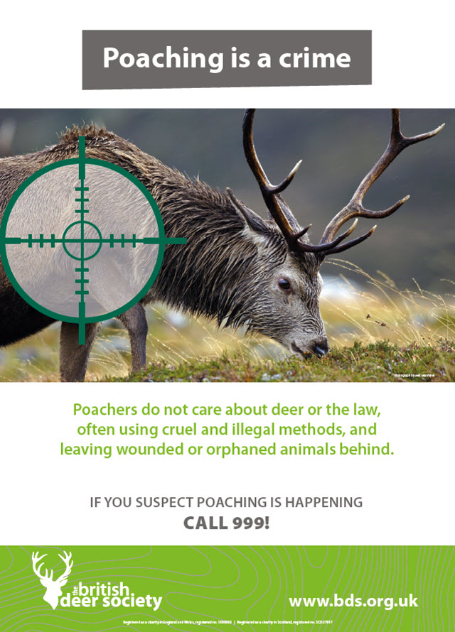 Poaching is a crime poster 1