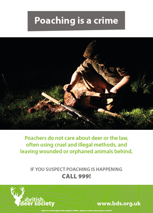 Poaching is a crime poster 2