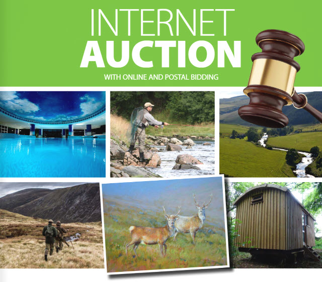 Internet Auction 2022