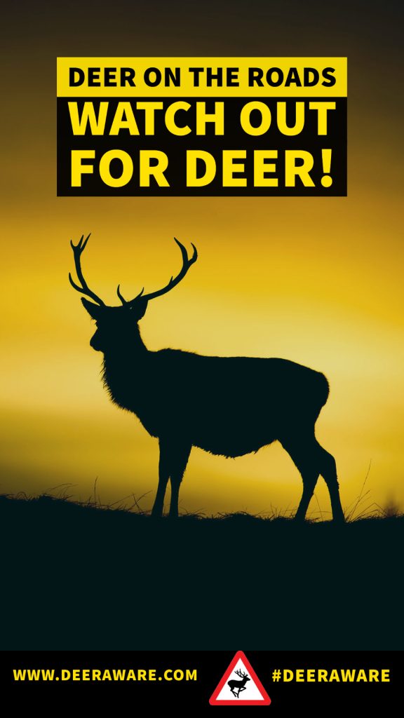 DeerAware Watch Out For Deer