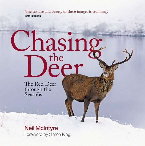 Chasing the Deer by Neil McIntyre