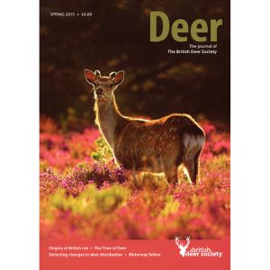 Deer Spring 2015