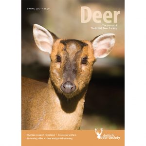 Deer Spring 2017