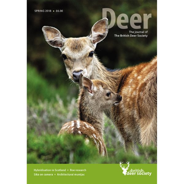 Deer Spring 2018