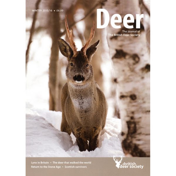 Deer Winter 2015