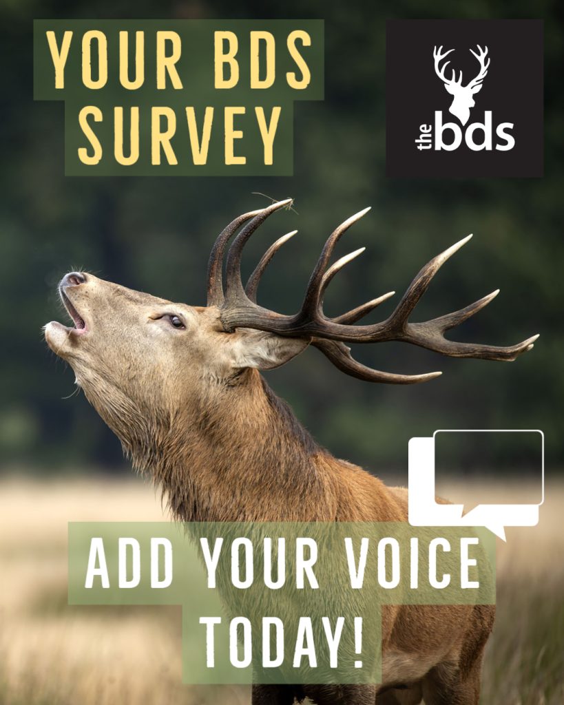 BDS Survey