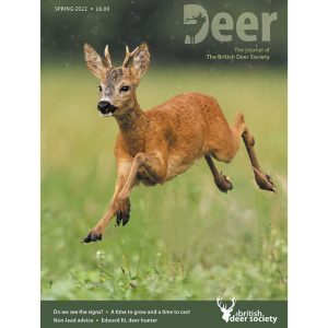 Deer Spring 2022