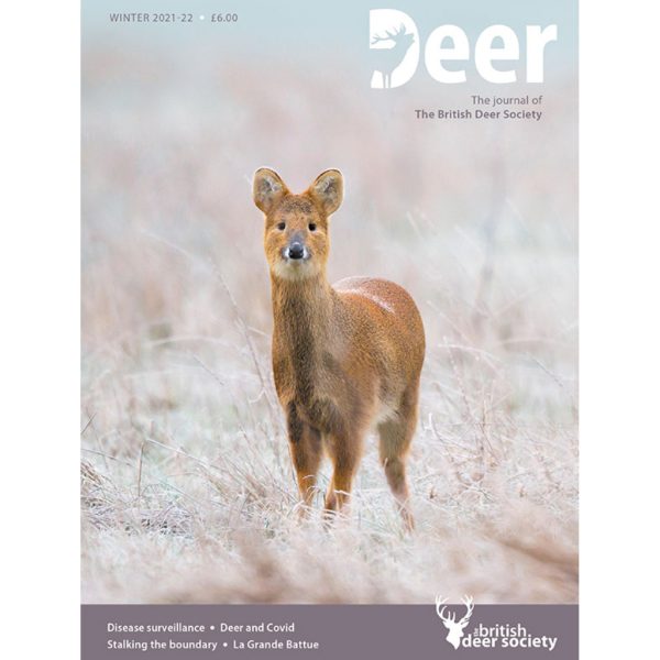 Deer Winter 2021-22