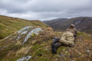 Highland Stalker surveying by Paddy Scott