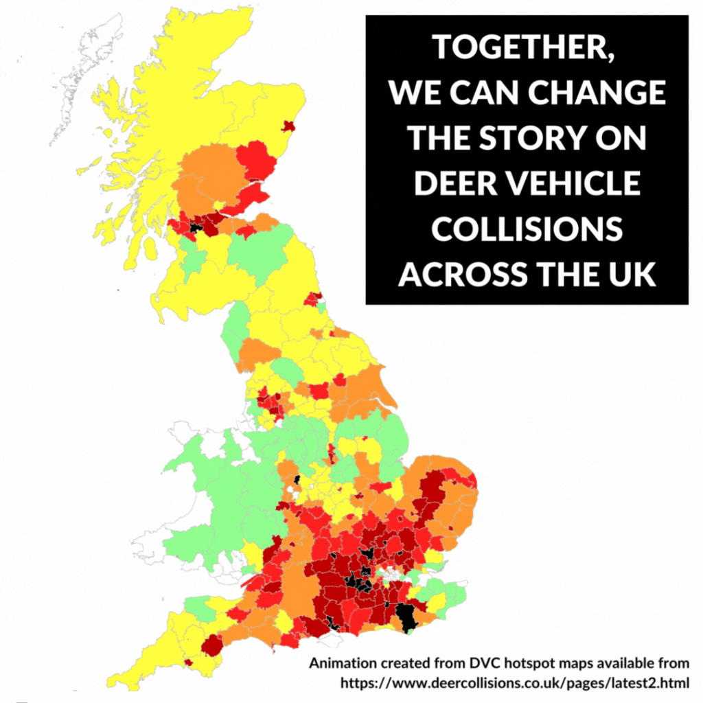 Together we can change the story on deer vehicle collisions across the UK