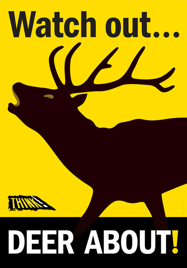 drive deer aware warning poster