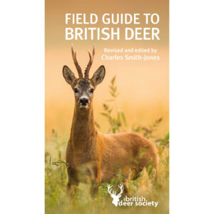 Field Guide to British Deer