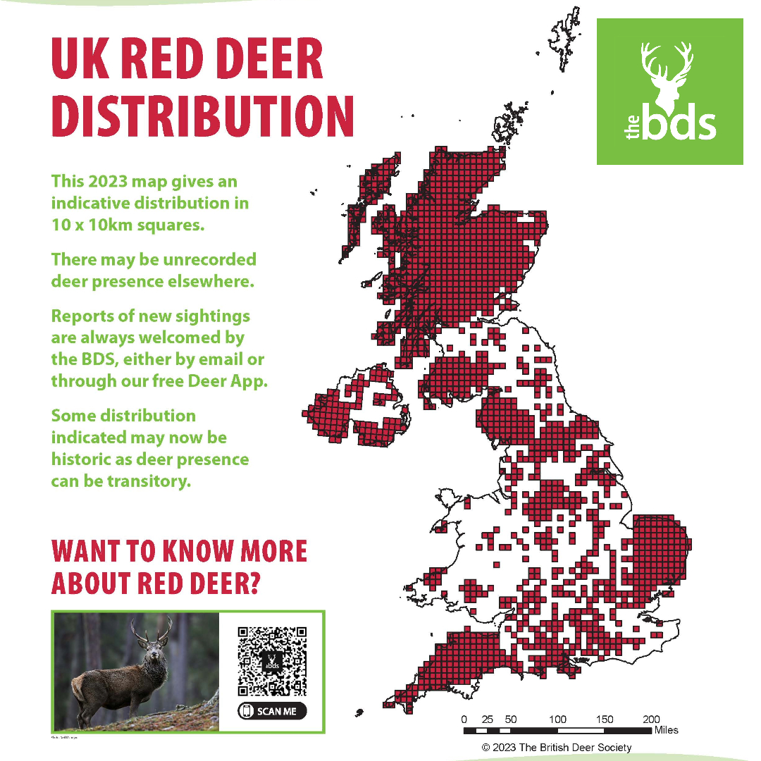 red deer map 2023