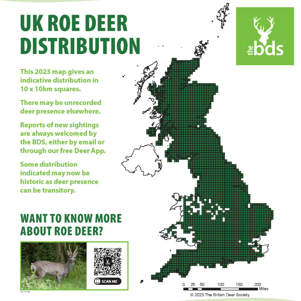 roe deer map 2023