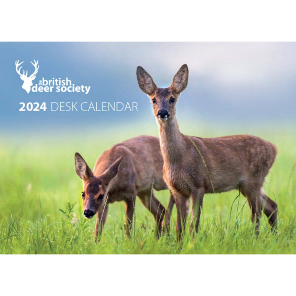 BDS Charity Desk Calendar 2024 Cover-4-Desk Calendar Front