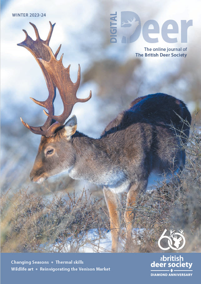 digital deer winter 24 cover