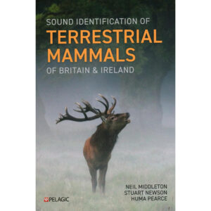 Deer Identification of Terrestrial Mammals