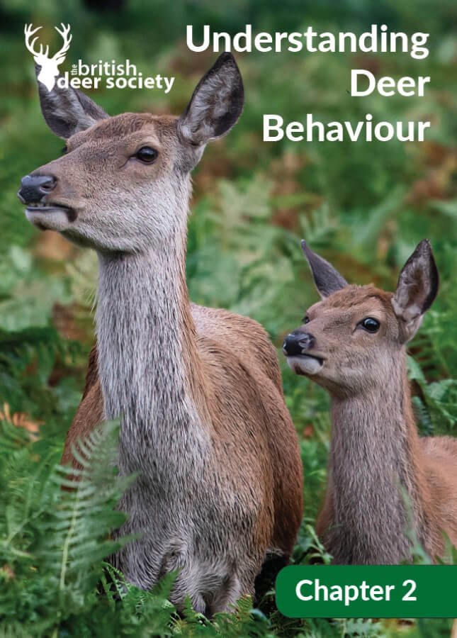 Chapter 2. Understanding Deer Behaviour