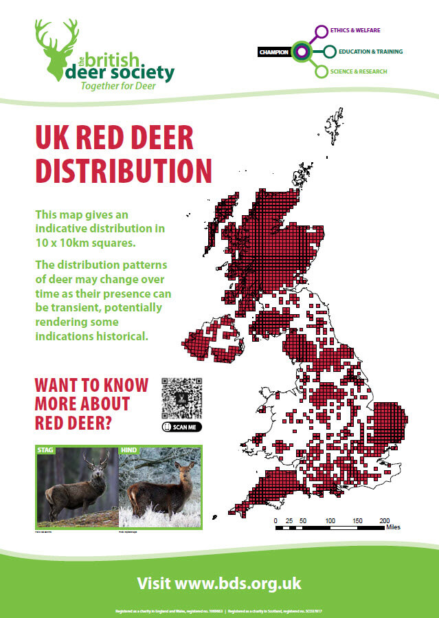 Deer Distribution Map Red Deer 2023