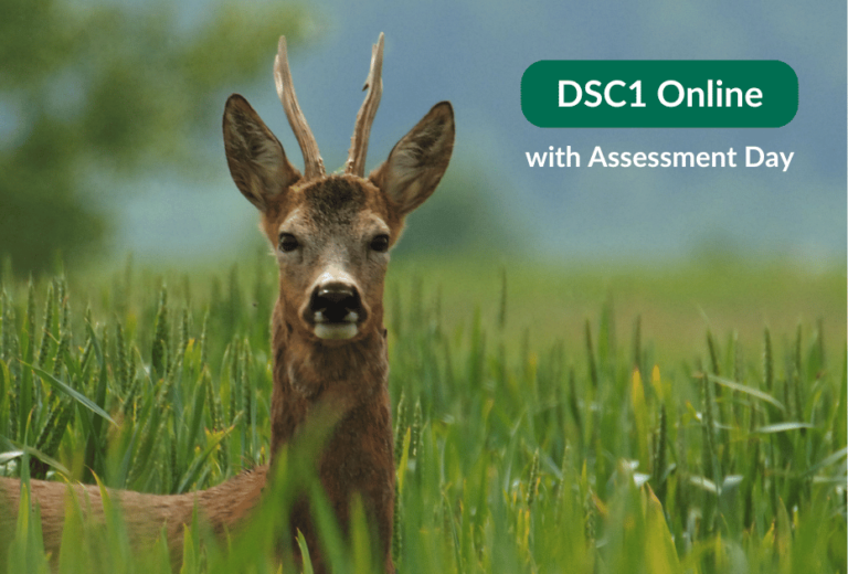 BDS-DSC1-Online-with-Assessment-Day-Training-Course-Bristol-England-Cover