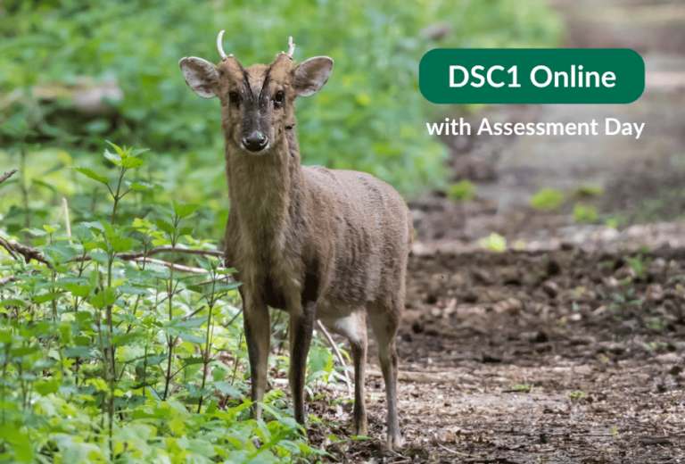 BDS-DSC1-Online-with-Assessment-Day-Training-Course-Royston-Herefordshire-England-Cover