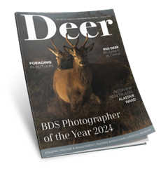 Autumn 2024 Deer Magazine