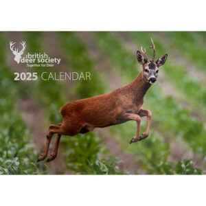 BDS Charity Wall Calendar 2025 Cover-1-Wall Calendar 2025 Cover