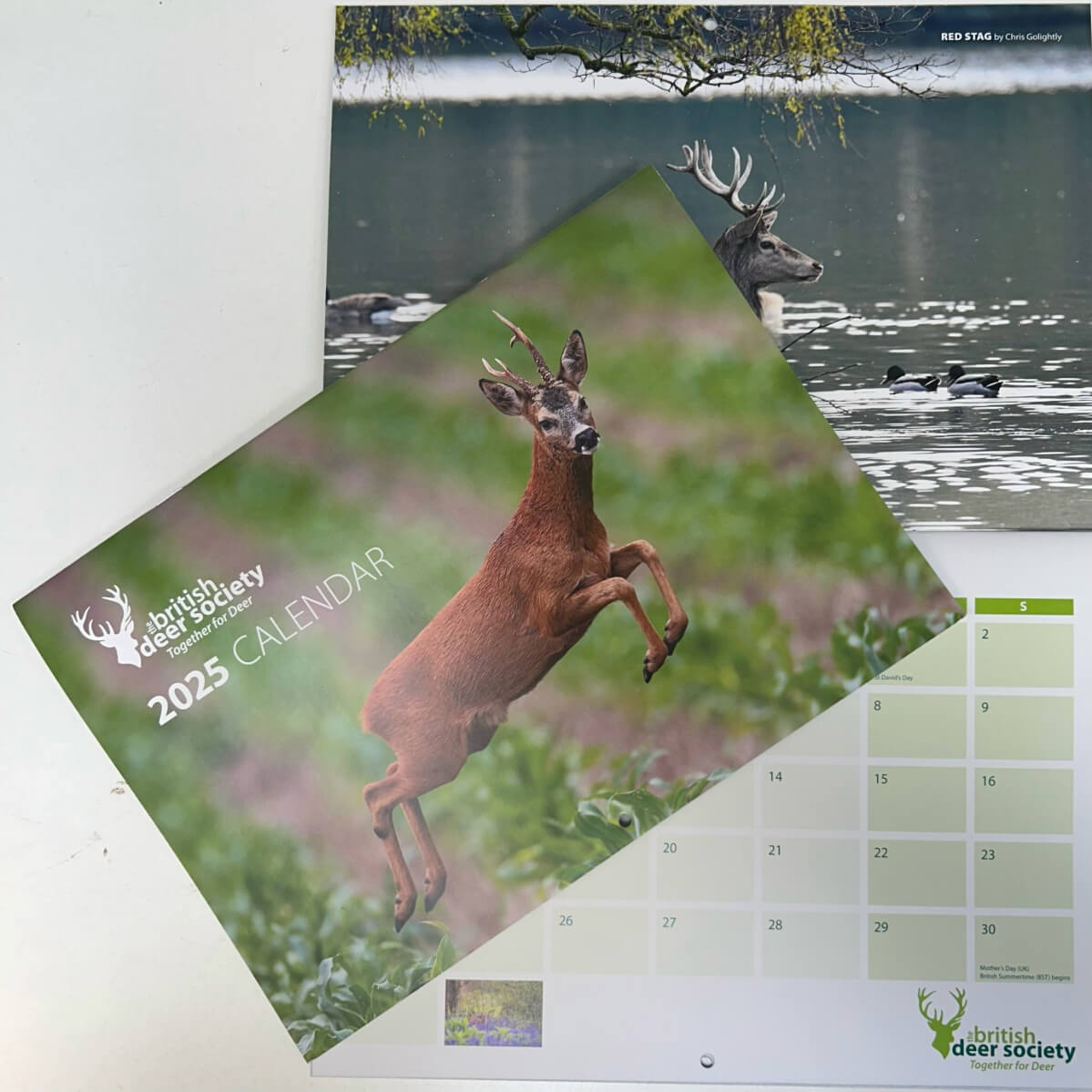 BDS Charity Wall Calendar 2025 Cover-3-Wall Calendar Inside (1)