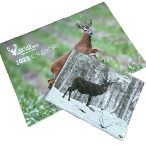 BDS 2025 Wall Calendar and Christmas Cards Offer