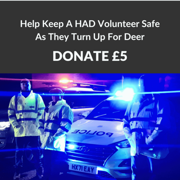 Help Keep A HAD Volunteer Safe With Essential Equipment as they Turn up for Deer in Dire Need (1)